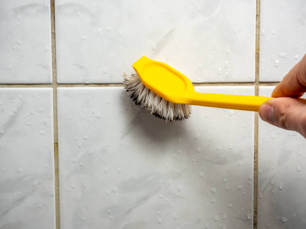 Best Mold Remediation for Schools in Emerald Lake Hills, CA
