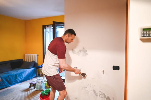 Best DIY Mold Remediation Support Services in Emerald Lake Hills, CA